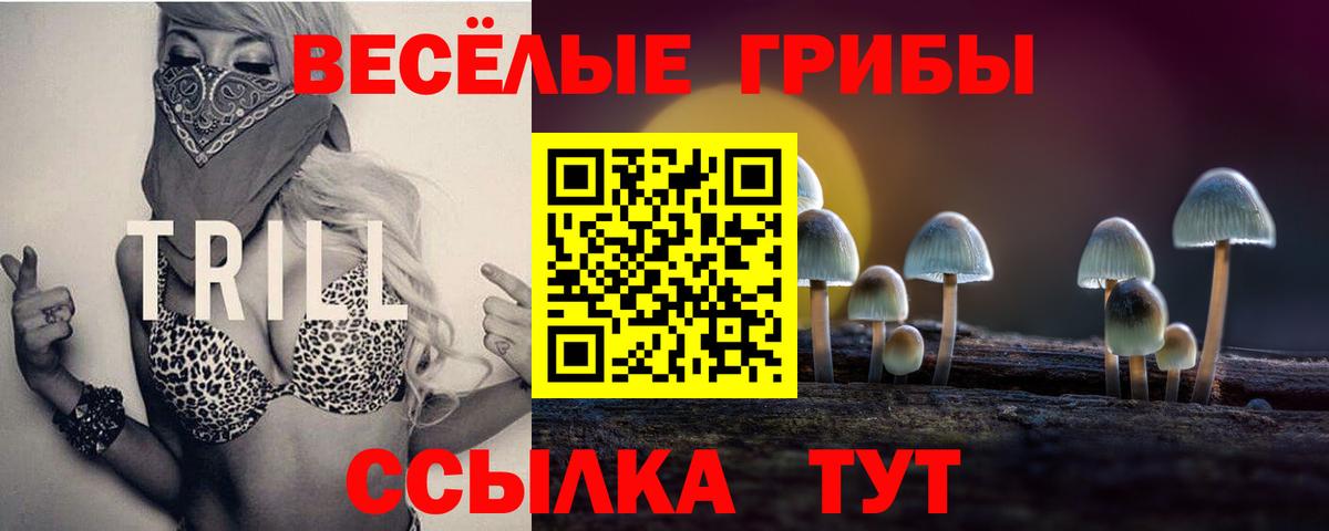 Псилоцибиновые грибы Cubensis  Вход с VPN  Псилоцибиновые грибы MAGIC MUSHROOMS  Кудрово 